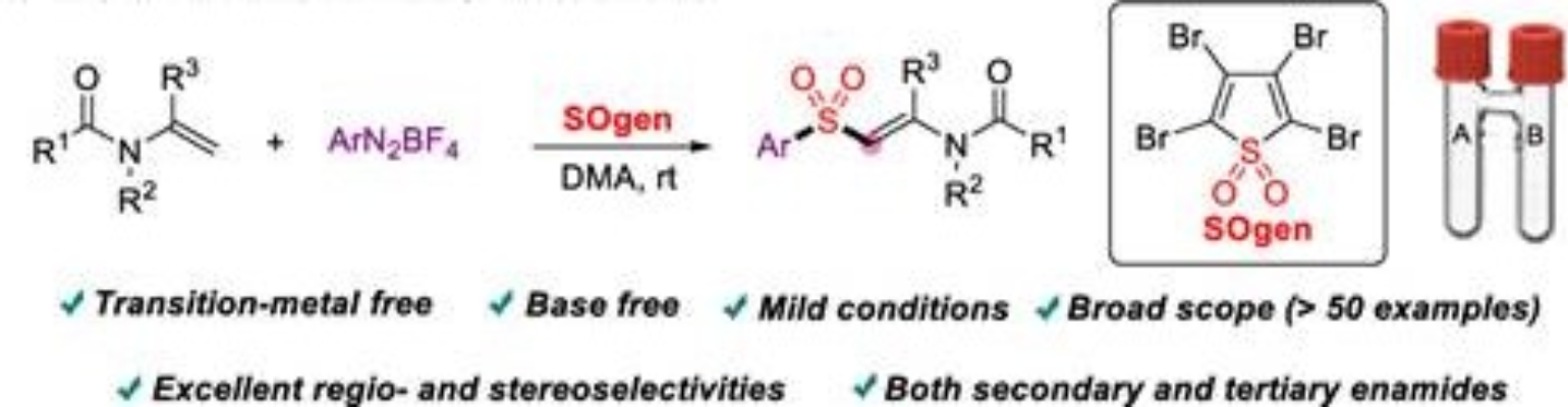 图1 SOgen试剂应用于制备β-酰胺基乙烯基砜类化合物<sup>[1]</sup>