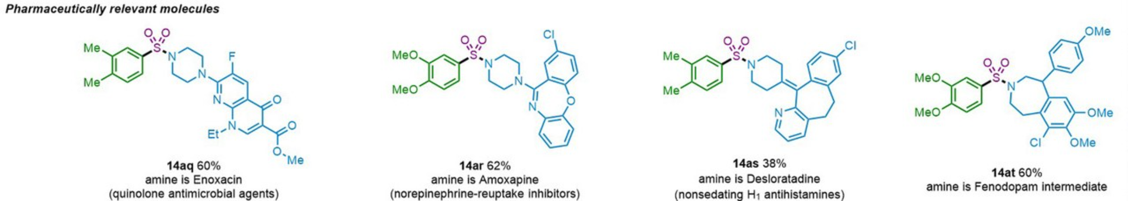 图3  药物活性分子中引入磺酰胺结构<sup>[1]</sup>