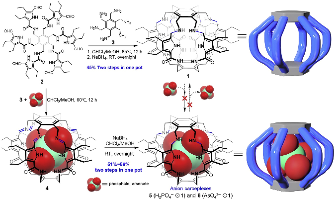 图1超蕃及其阴离子络合物5（H<sub>2</sub>PO<sub>4</sub><sup>−</sup>⊙1）和6（AsO<sub>4</sub><sup>3−</sup>⊙1）的合成路线<sup>[1]</sup>