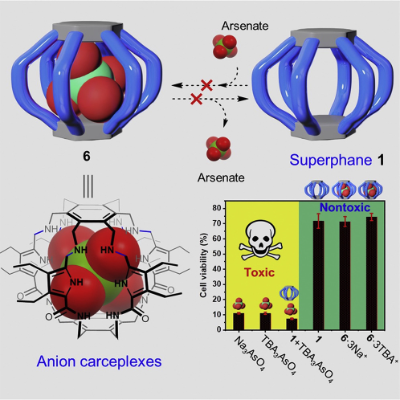 图2 超蕃封装剧毒的砷酸根阴离子产生无毒的络合物<sup>[1]</sup>