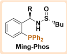 图1：Ming-Phos 结构通式<sup>[1]</sup>