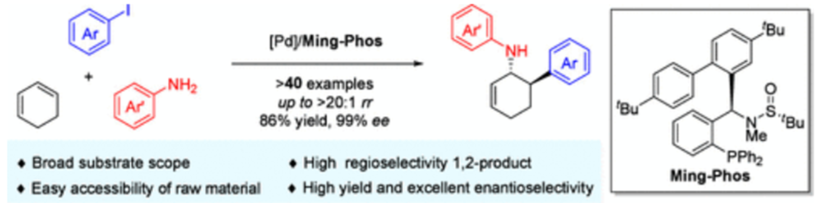 图2：催化 1,3-环己二烯的对映选择性三组分碳胺化反应<sup>[2]</sup>