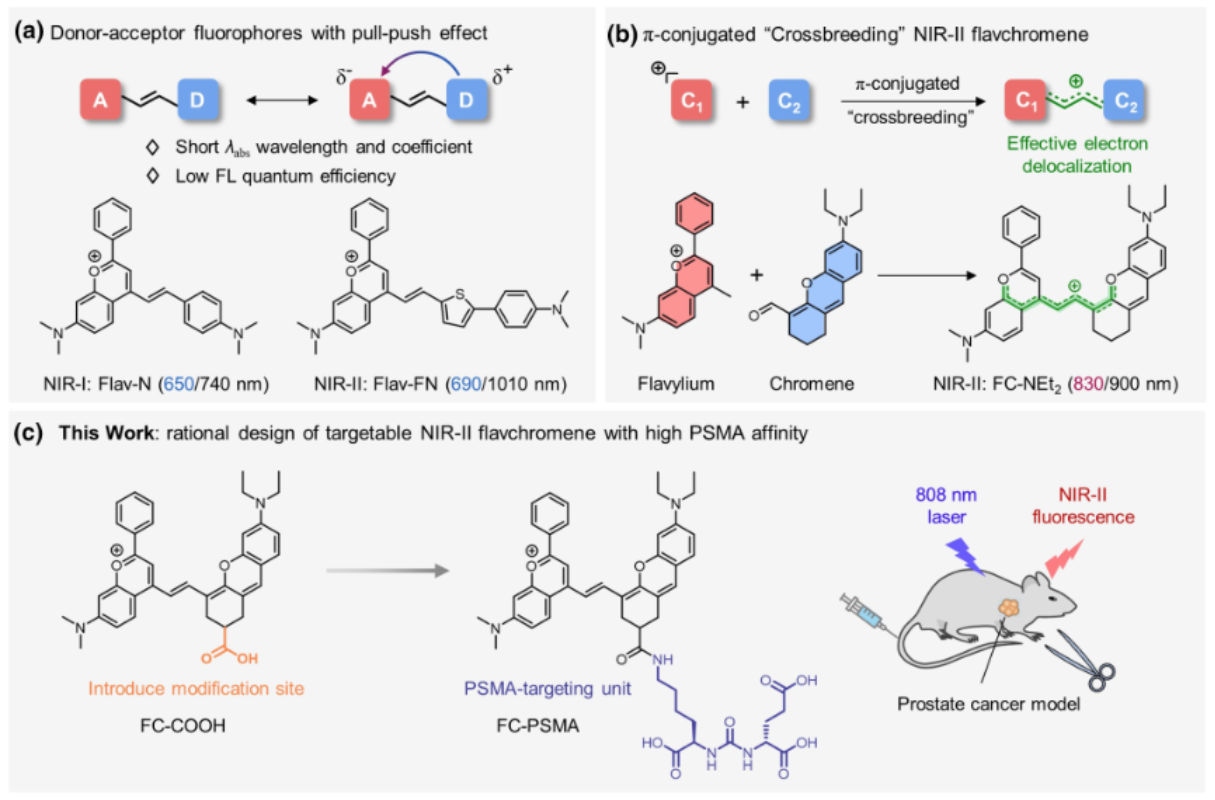 图1 基于“Crossbreeding”杂交耦合策略构建前列腺癌PSMA靶向的NIR-II荧光染料<sup>[1]</sup>