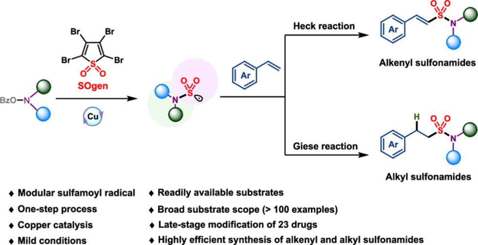 图1 磺酰氨自由基的生成及其在磺酰胺模块化合成中的应用<sup>[1]</sup>
