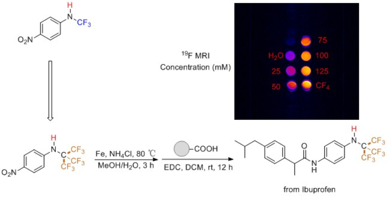 图4 N-CF<sub>3</sub>仲胺合成的全氟叔丁基化合物可应用于<sup>19</sup>F MRI探针<sup>[2]</sup>