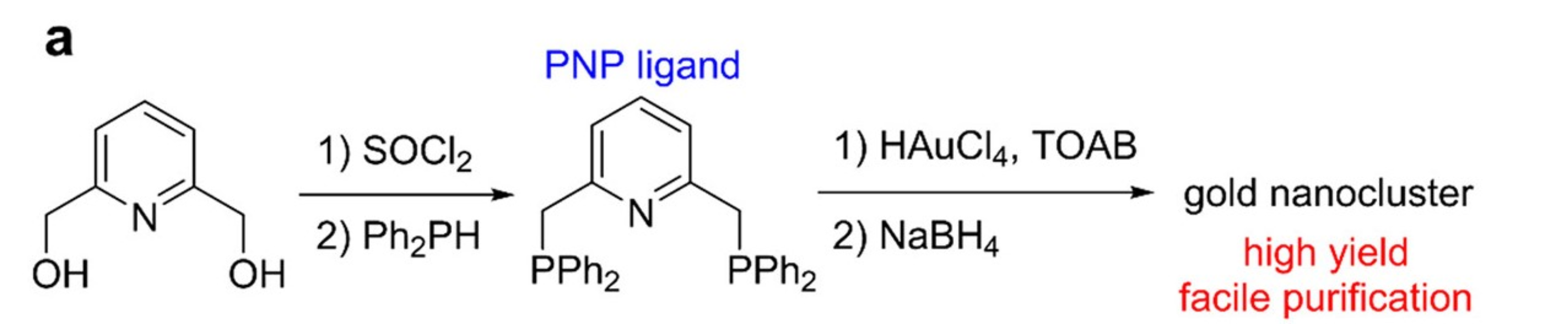 图1 Au<sub>8</sub>(PNP)<sub>4</sub>金纳米簇合成路线