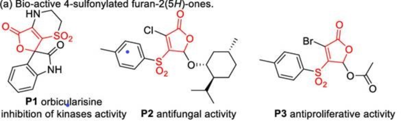 图1 含4-磺酰化呋喃-2(5<i>H</i>)-酮的活性分子