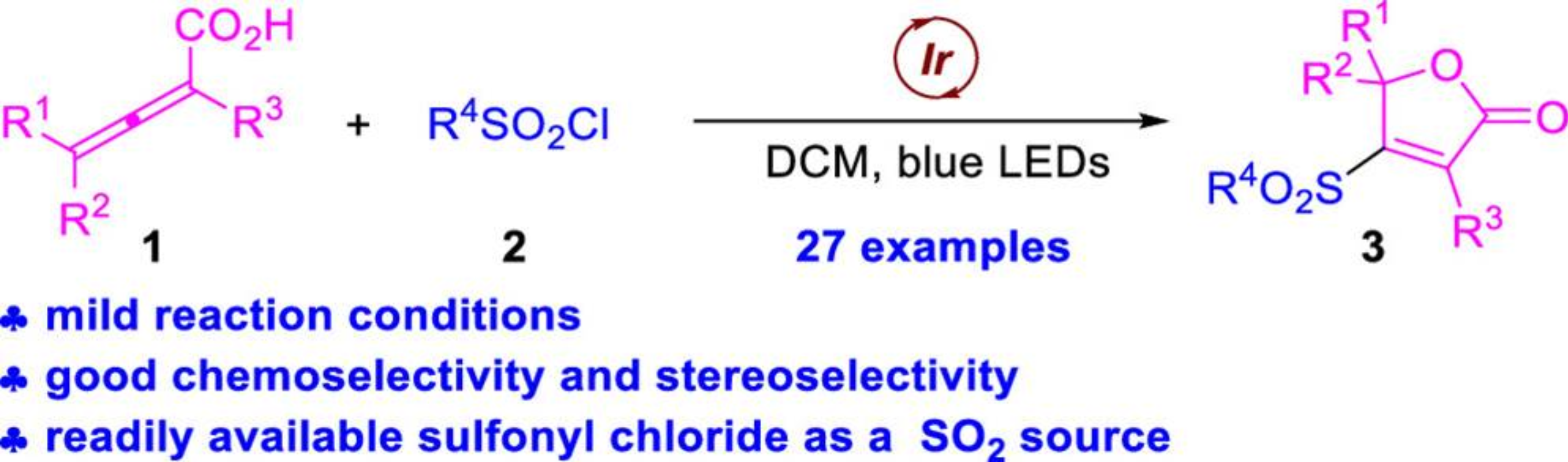 图3  2,3-联烯酸的光催化化学选择性环氧磺酰化反应