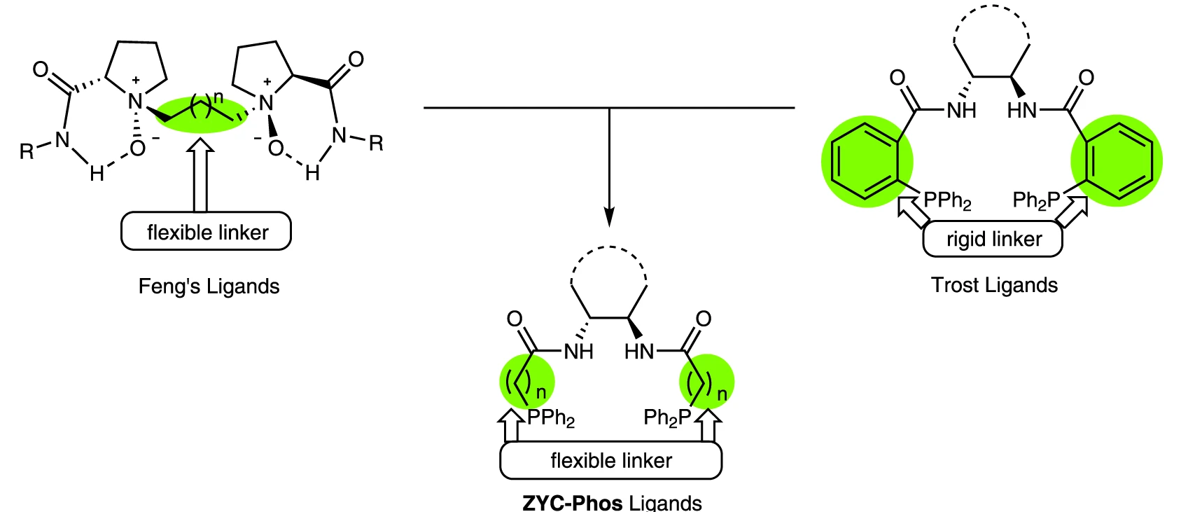 图3 ZYC-Phos配体的设计理念