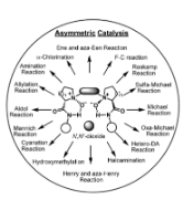 图1 冯氏手性氮氧化合物的应用