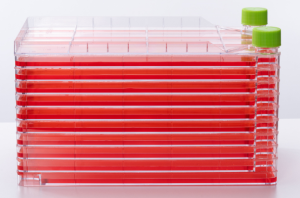 图5 细胞工厂<br>