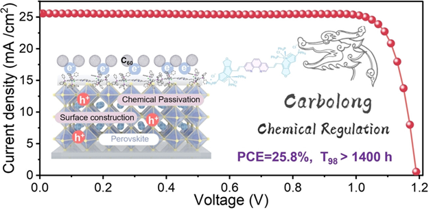 图6：碳龙调控实现高性能钙钛矿太阳能电池<sup>[3]</sup>