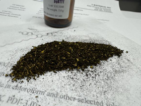 图2 pgBTTT 粉末外观