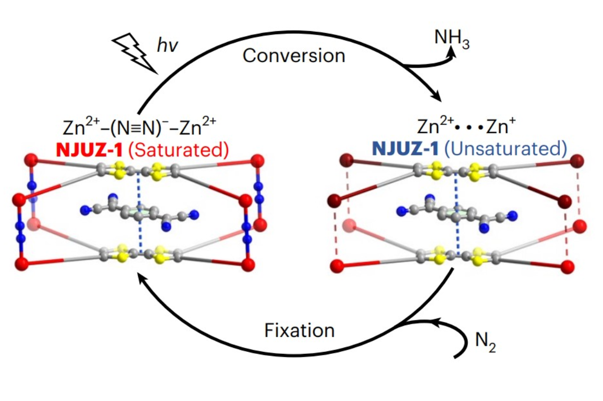 图1：NJUZ-1晶体结构<sup>[1]</sup>